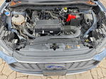 Ford Escape 2024