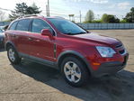 Chevrolet Captiva 2012