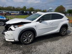 Lexus NX 2016