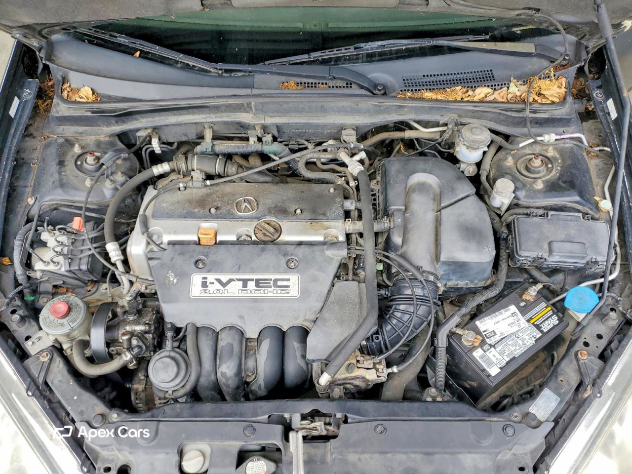 Acura RSX 2004