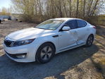 Kia Optima 2013