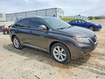 Lexus RX 2010