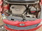 Kia Rio 2014