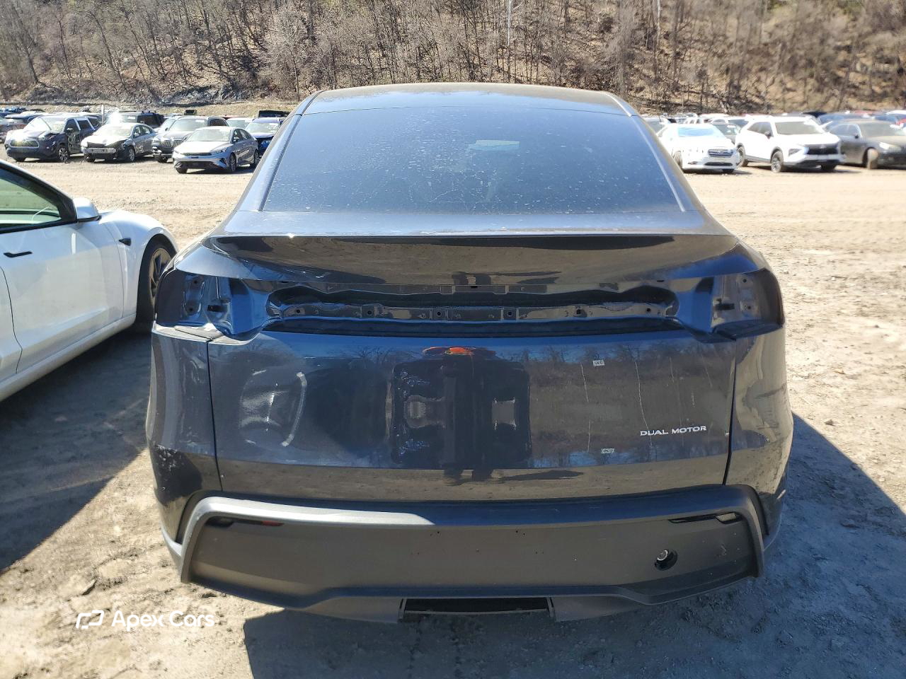 Tesla Model Y 2026