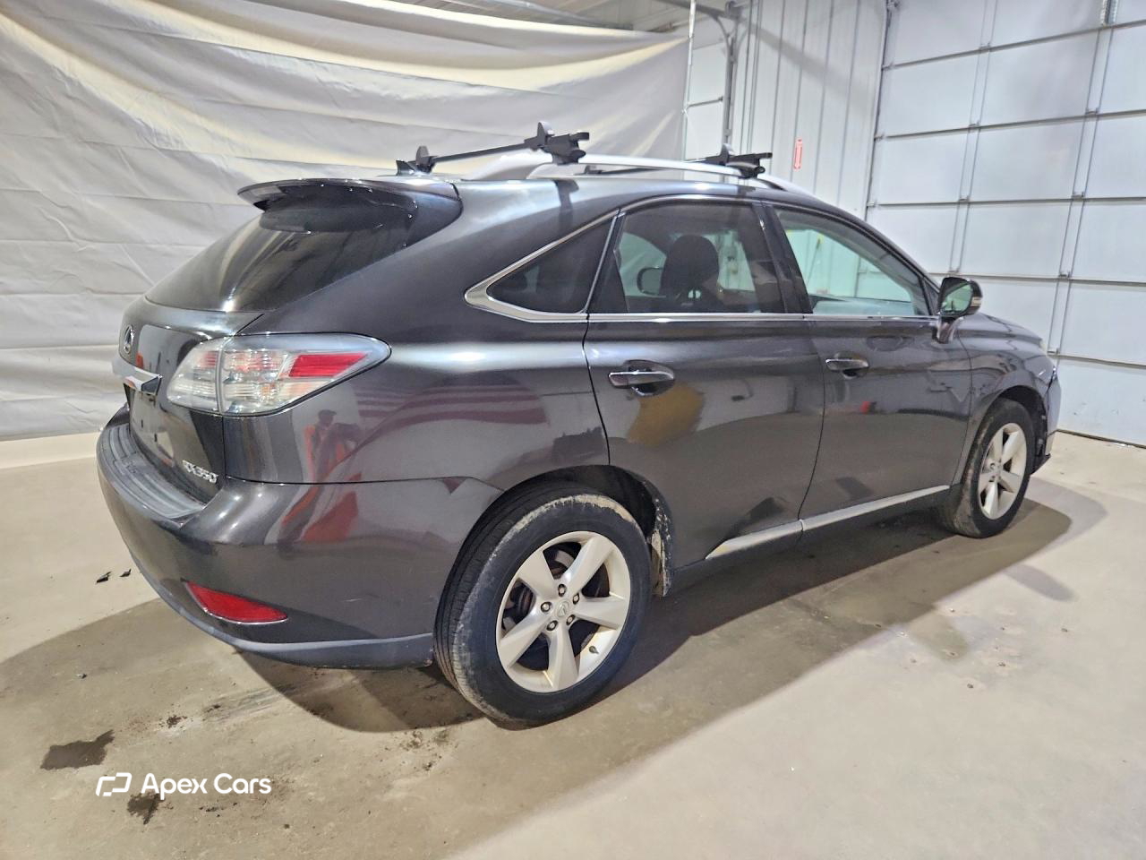 Lexus RX 2010