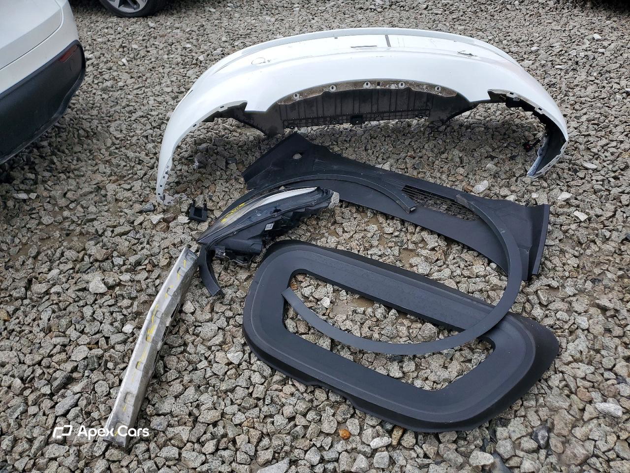 Tesla Model Y 2020