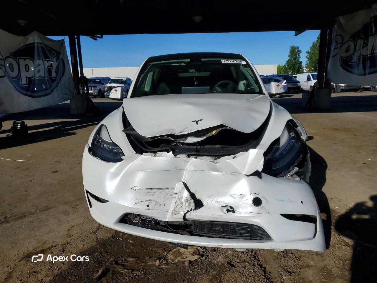 Tesla Model Y 2021