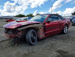 Ford Mustang 2007