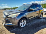 Ford Escape 2016