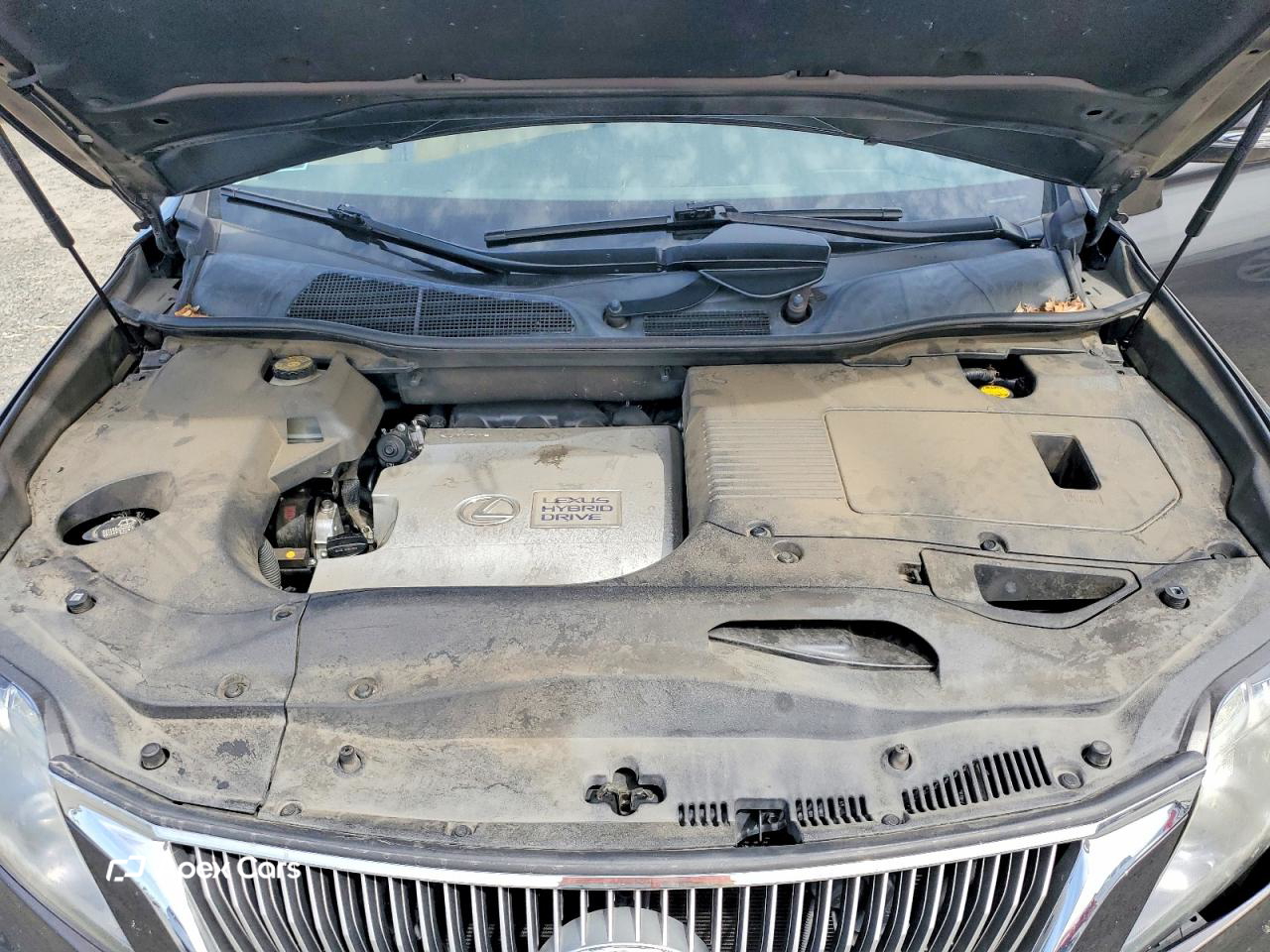 Lexus RX 2010