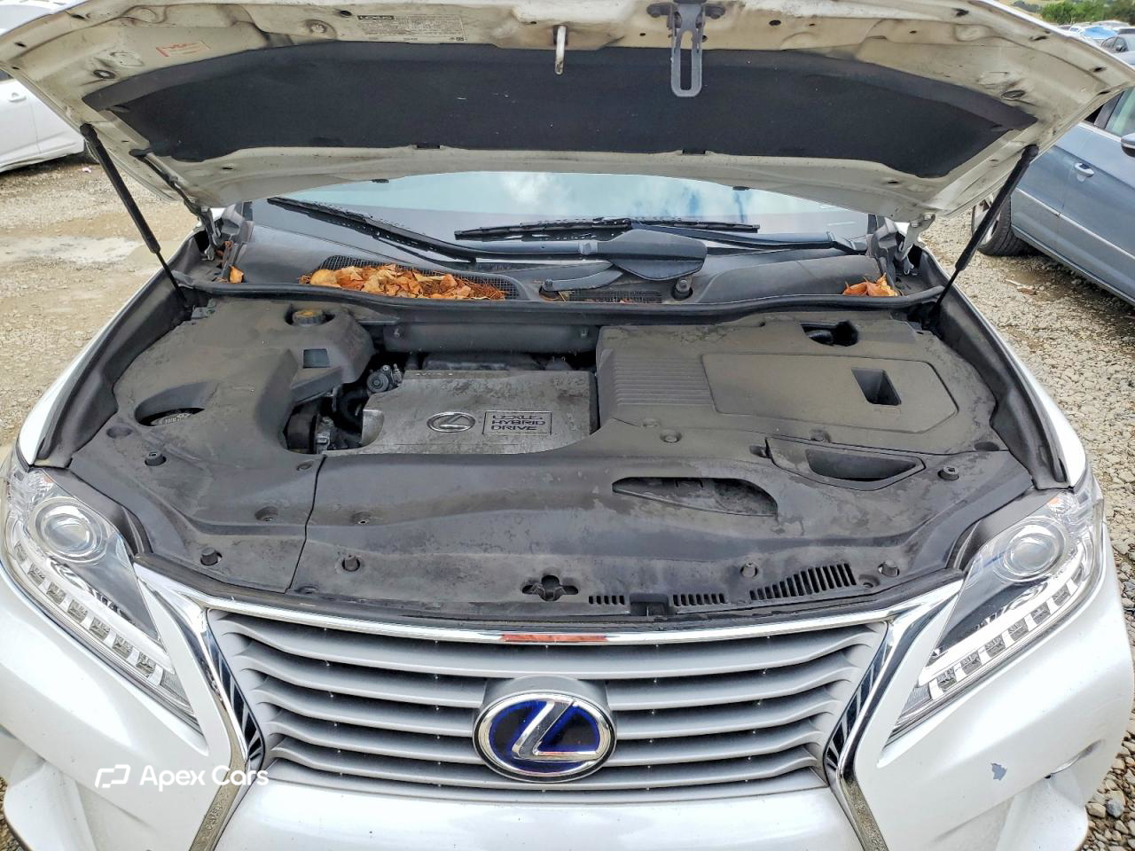 Lexus RX 2013