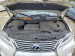 Lexus RX 2013