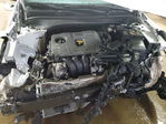 Kia Forte 2023