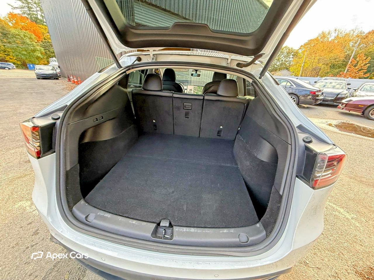 Tesla Model Y 2021