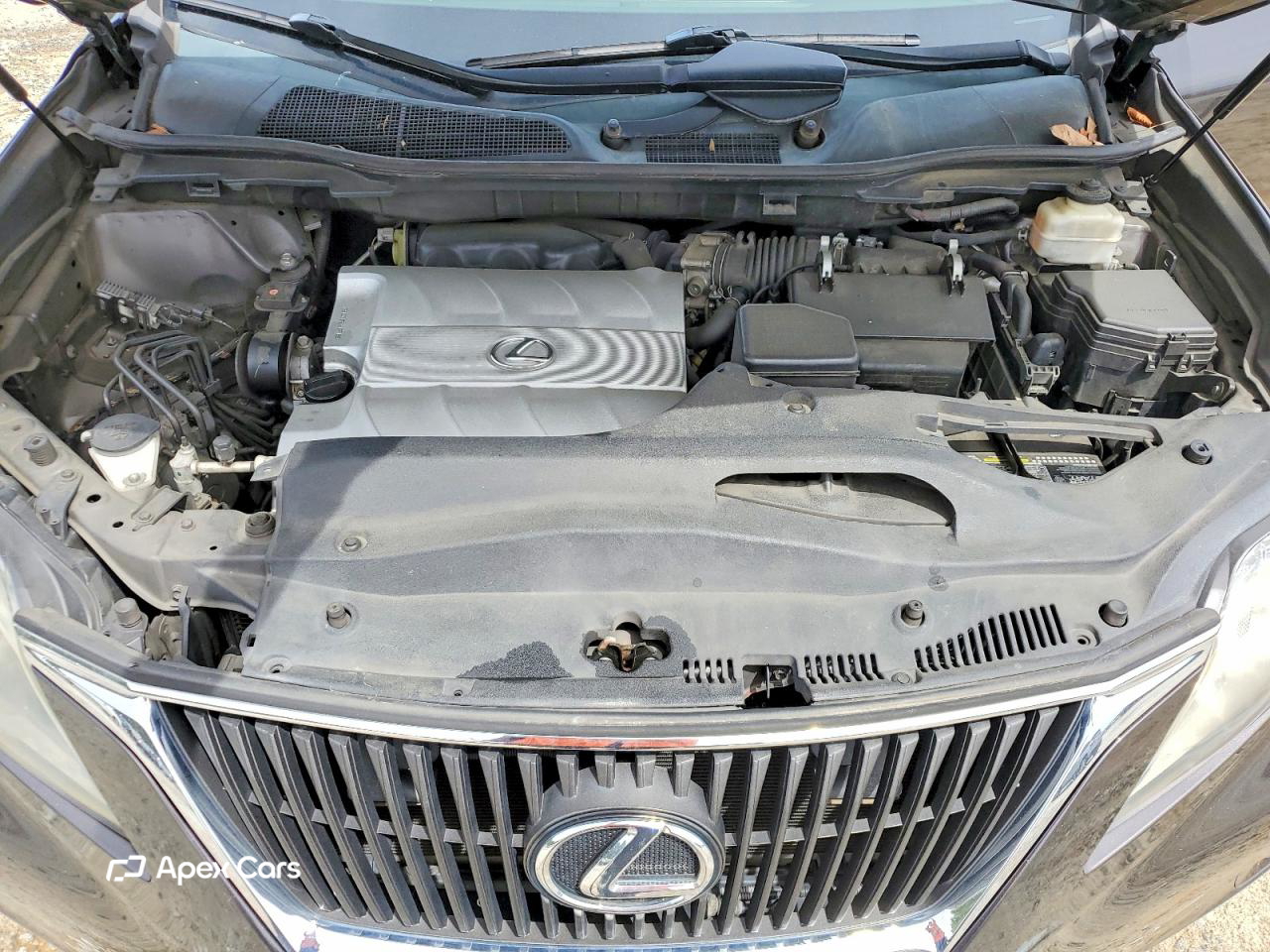 Lexus RX 2010