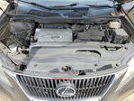 Lexus RX 2010