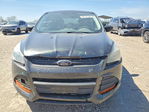 Ford Escape 2016