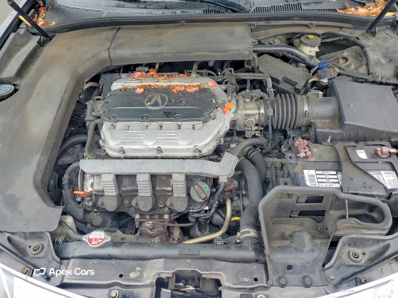 Acura TL 2011