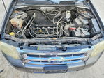 Ford Escape 2012