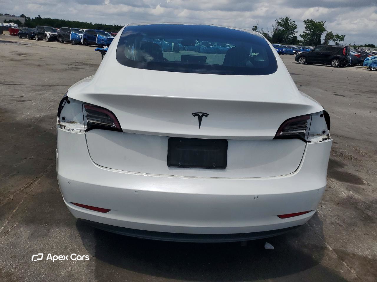Tesla Model 3 2019