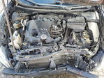 Nissan Maxima 2014