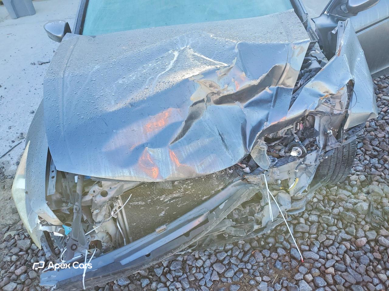 Honda Accord 2010