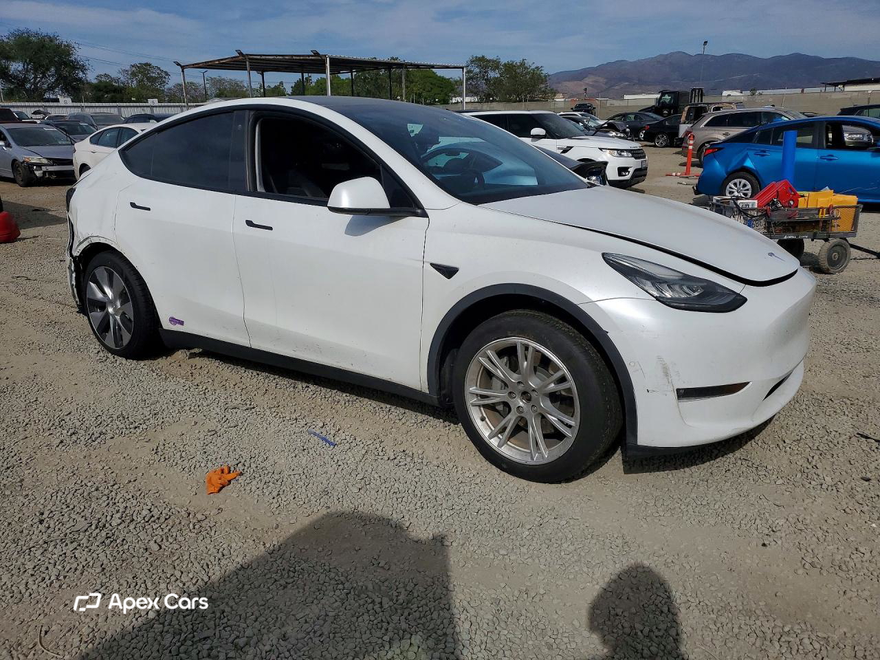 Tesla Model Y 2022