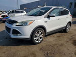 Ford Escape 2015