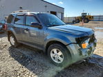 Ford Escape 2012