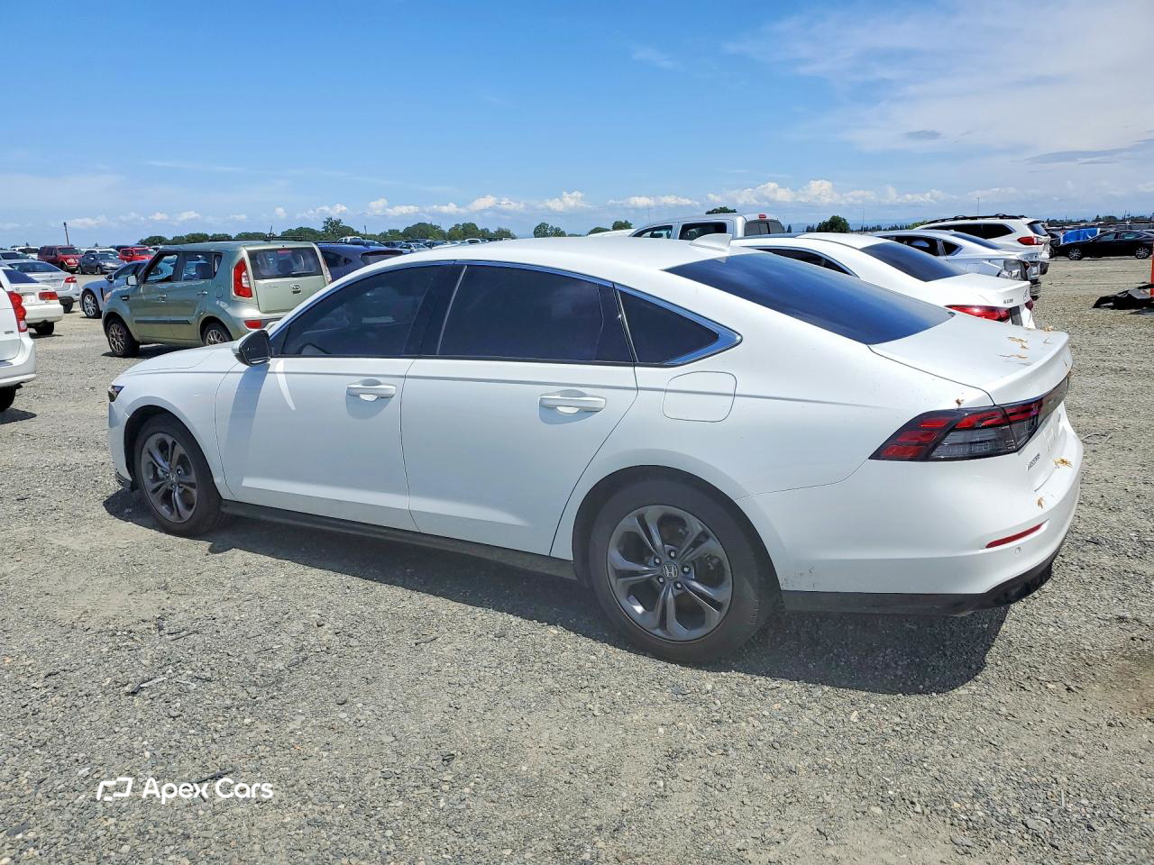 Honda Accord 2024