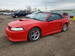 Ford Mustang 2003