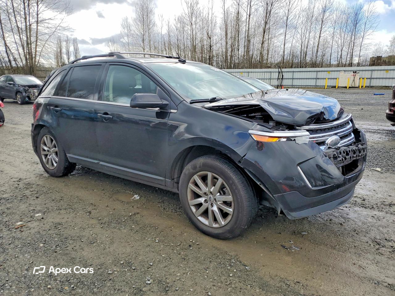 Ford Edge 2013