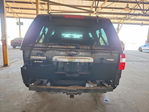 Ford Expedition 2007