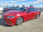 Lexus ES 2021
