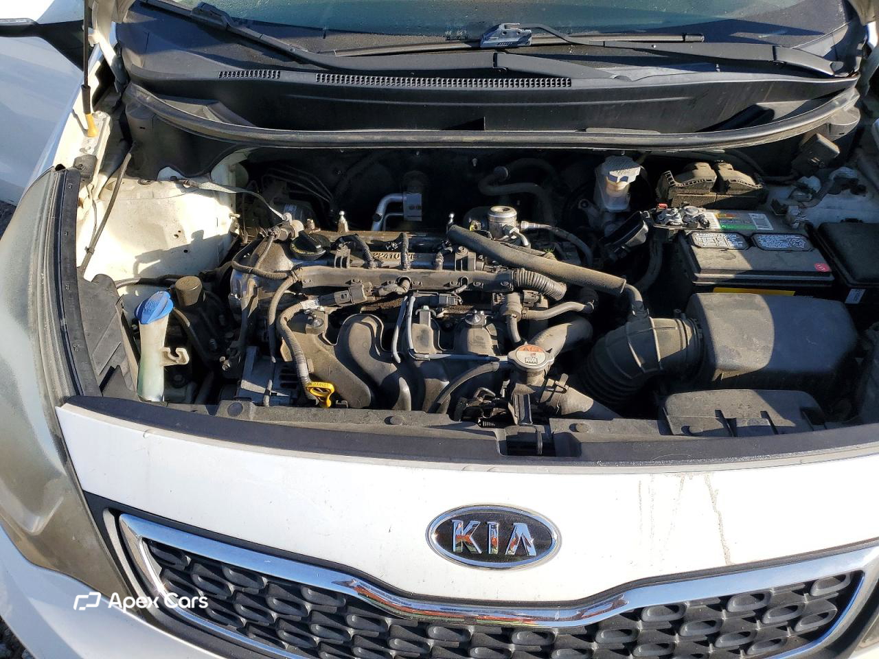 Kia Rio 2013