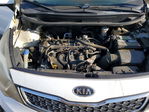 Kia Rio 2013
