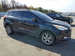 Ford Escape 2013