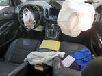 Ford Escape 2013