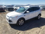 Ford Escape 2016