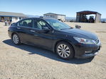 Honda Accord 2013