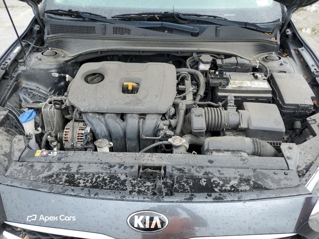 Kia Forte 2021