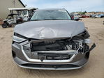 Audi e-tron 2019
