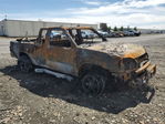 Nissan Navara (Frontier) 2004