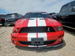 Ford Mustang 2008