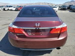 Honda Accord 2013