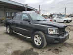 Dodge Dakota 2009