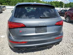Audi SQ5 2017