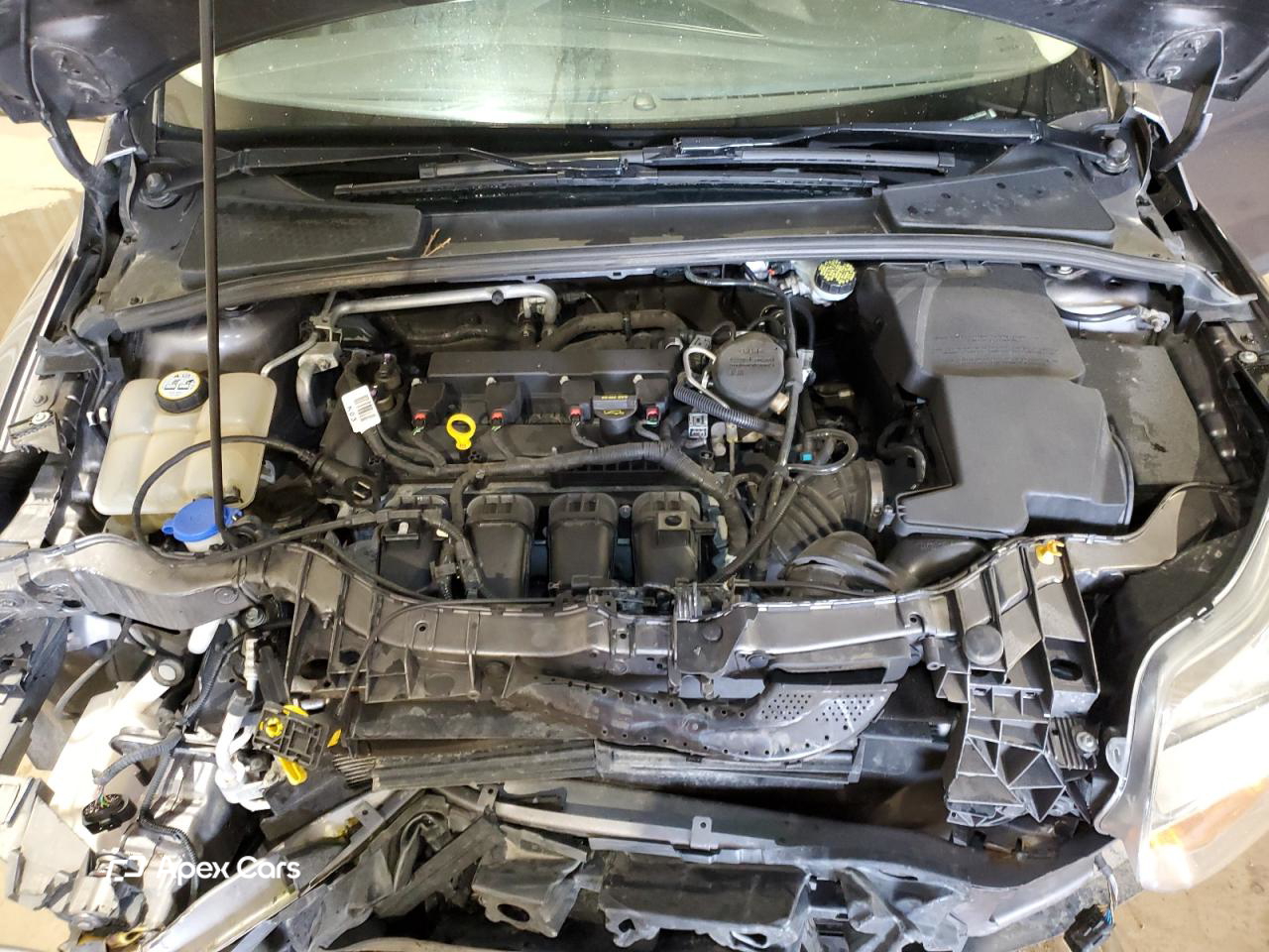 Ford Focus 2013