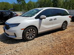 Honda Odyssey 2021