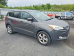 Ford Escape 2016